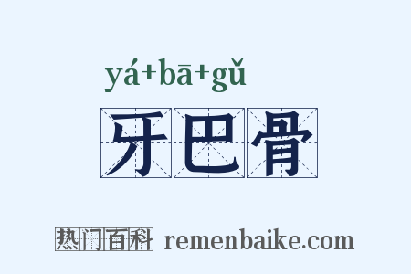 牙巴骨是什么意思的图片
